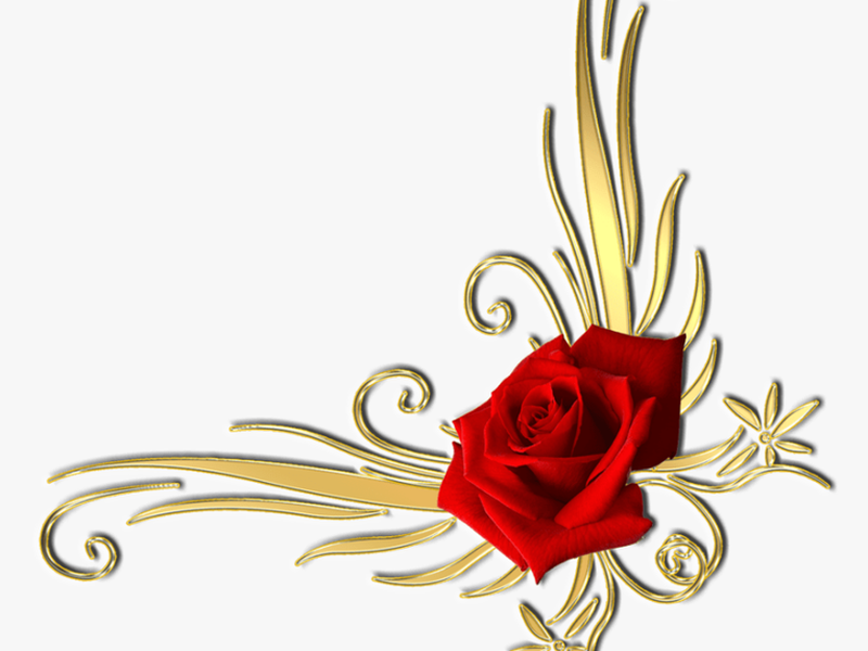 Red And Gold Flower Png 