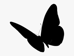 Butterfly Wings Png Image With Transparent Background - Butterfly Silhouette Side View